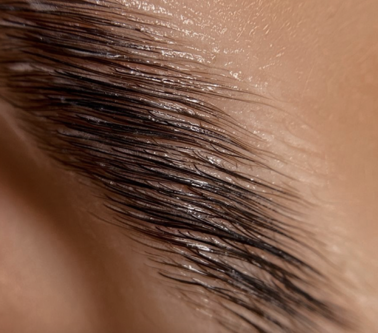 Brow Lamination & Tint treatment at J Skin Lab Hoboken