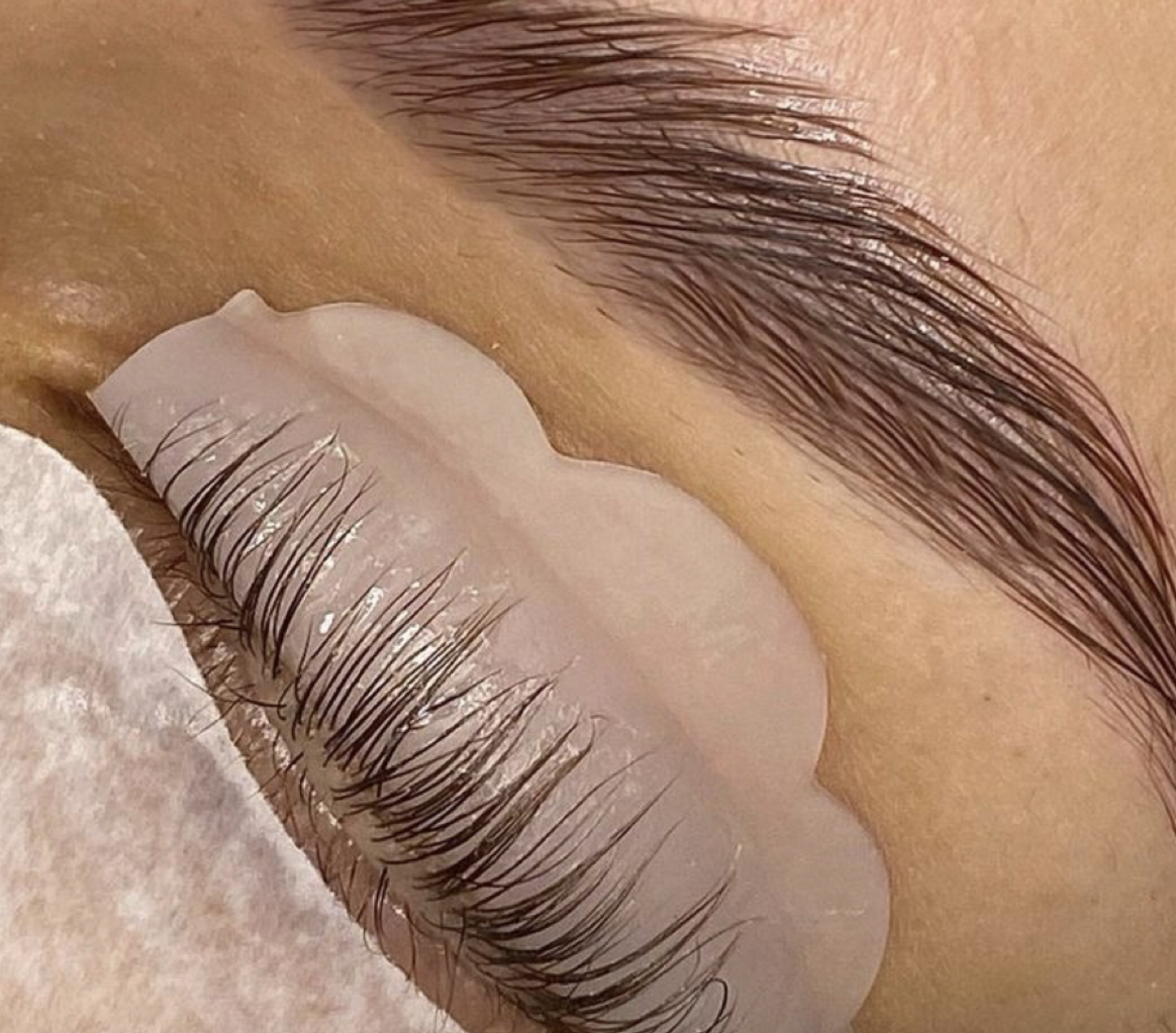 Lash Lift & Tint treatment at J Skin Lab Hoboken